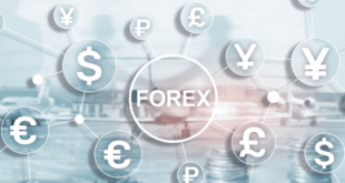 Forex Trading Basic Guide
